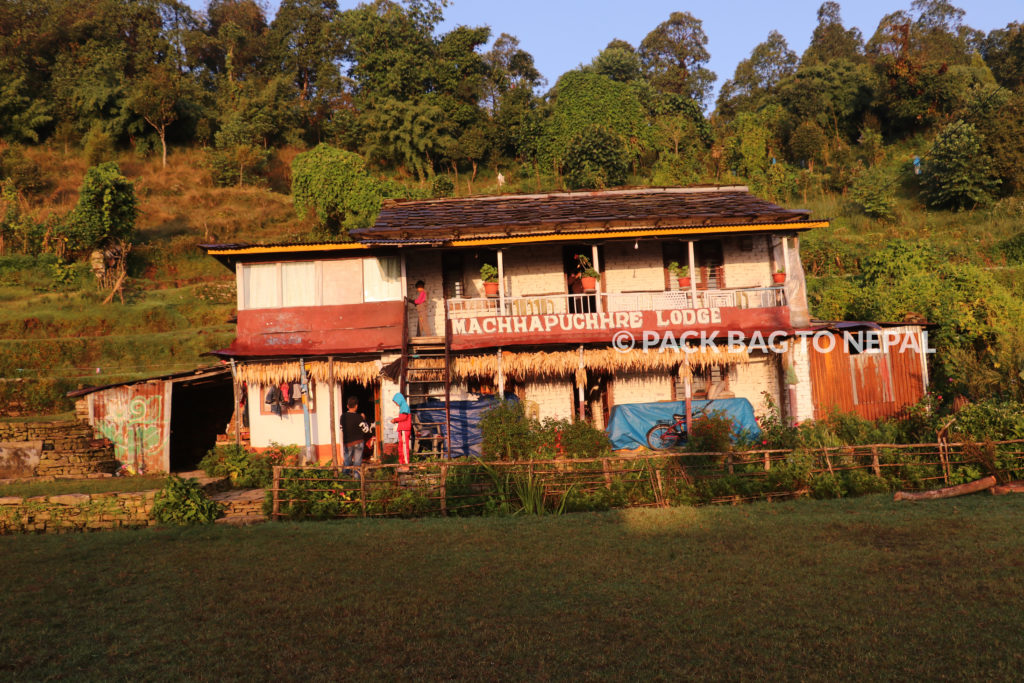 Rich results on Google's SERP when searching for 'mental health retreats in nepal's countryside'